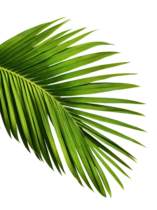 green leaf