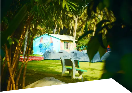 Camping