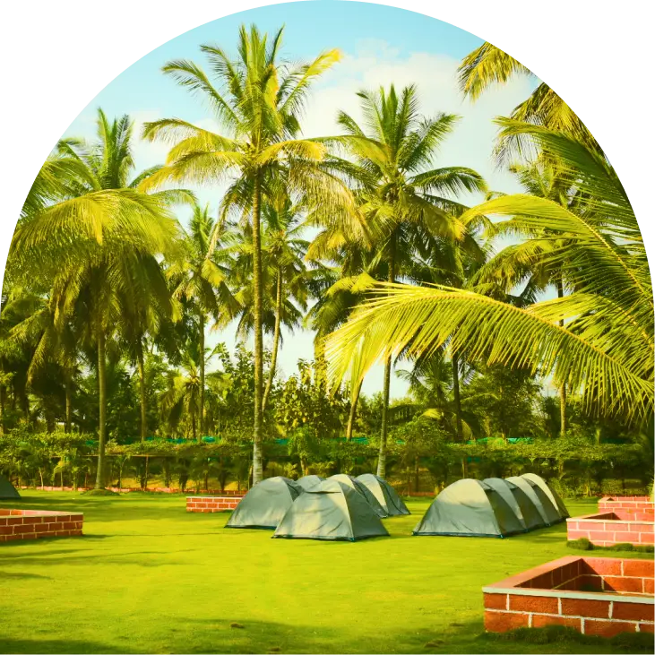 Camping Tent